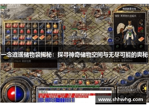 一念逍遥储物袋揭秘：探寻神奇储物空间与无尽可能的奥秘