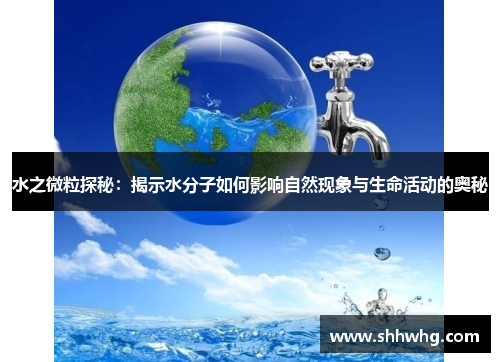 水之微粒探秘：揭示水分子如何影响自然现象与生命活动的奥秘