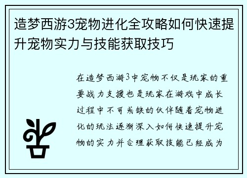 造梦西游3宠物进化全攻略如何快速提升宠物实力与技能获取技巧